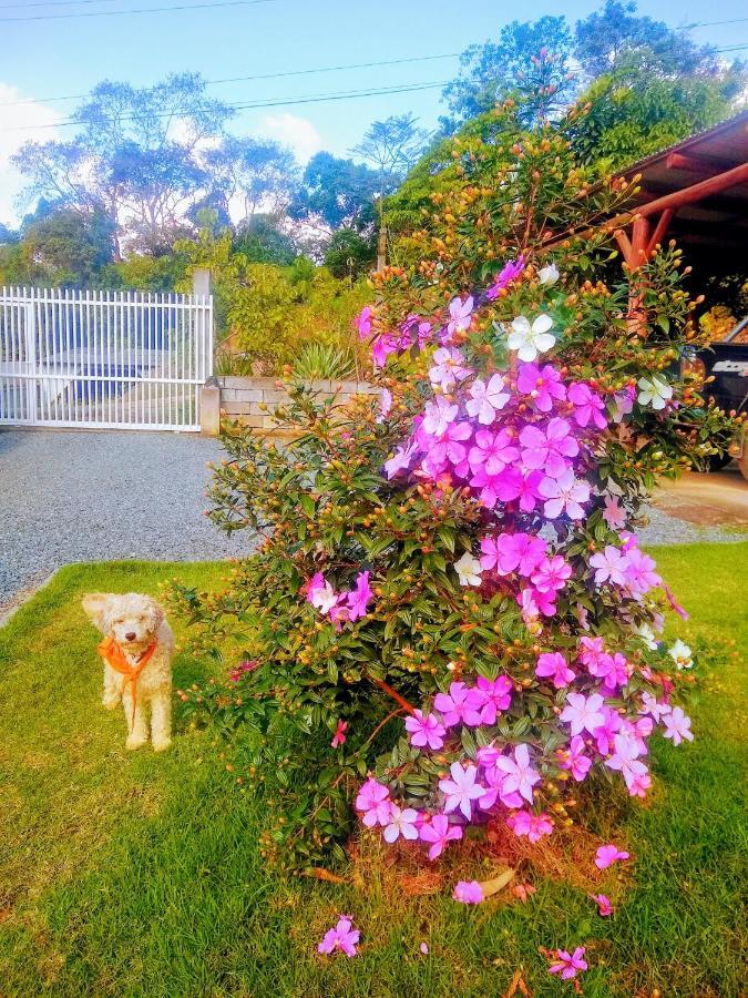 Le Petit Cherie Blumenau Exteriör bild